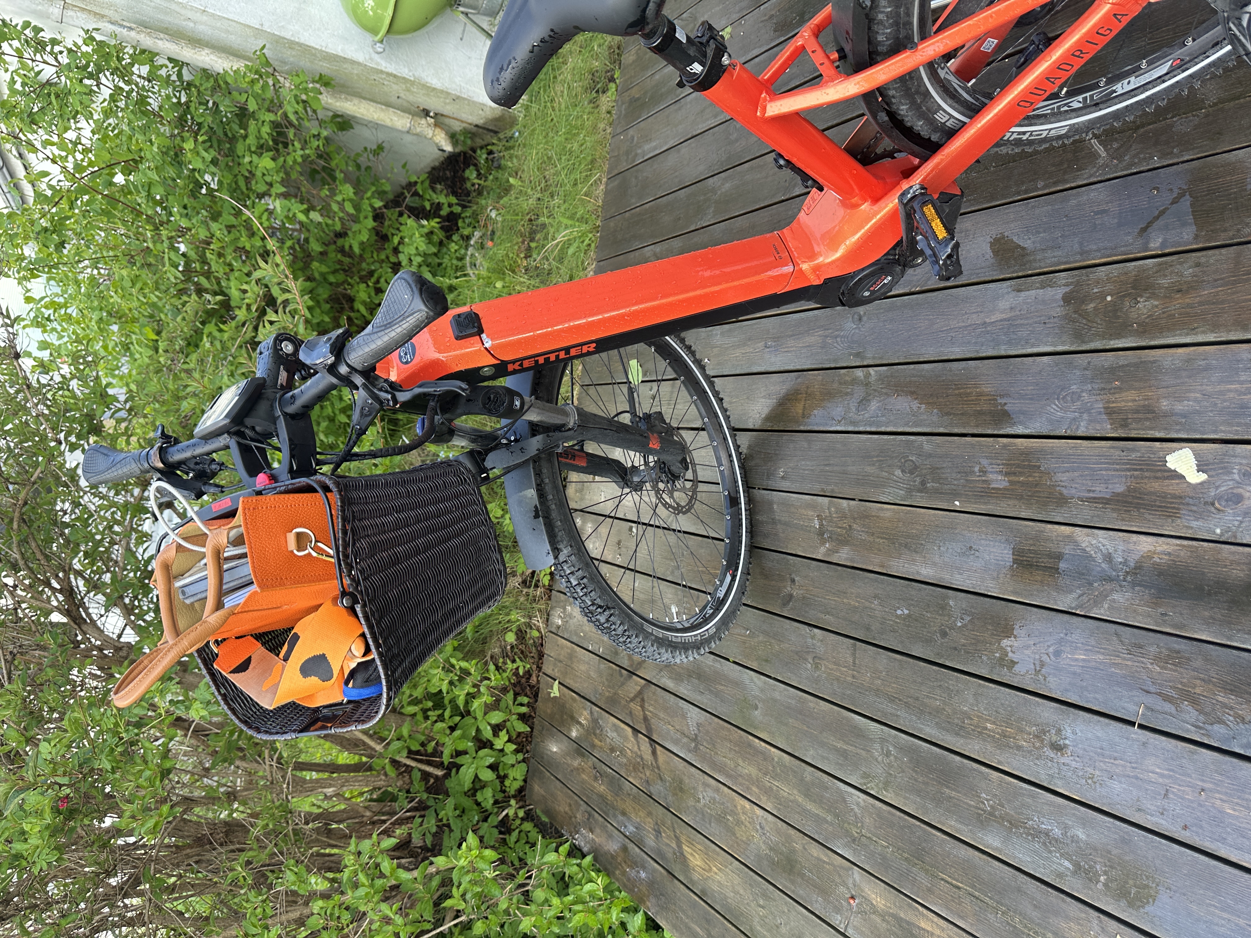 Elsykkel kettler unisex - sterk motor