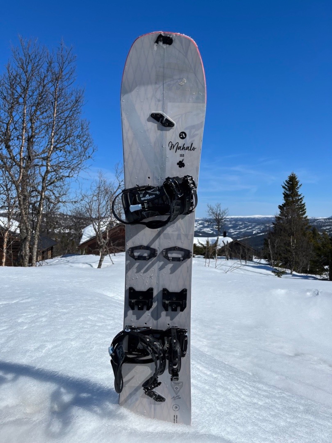 Splitboard til dame med sko og feller