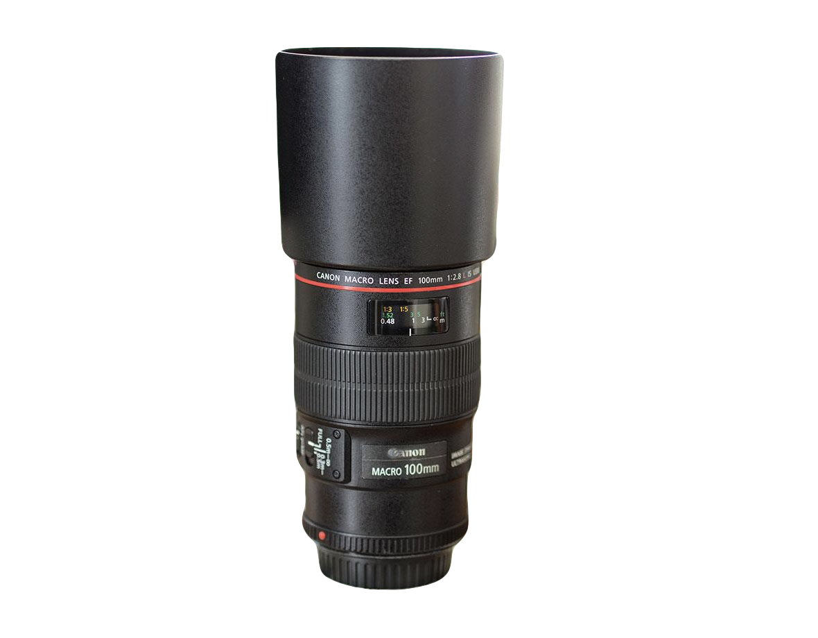 Canon 100mm ef f2.8 l macro 1:1
