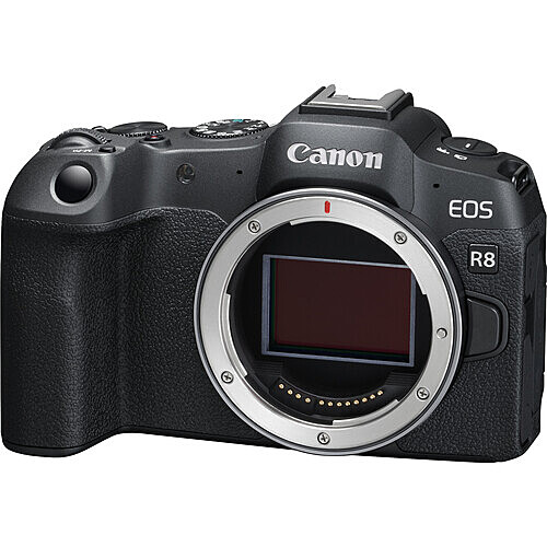 Canon eos r8 full-frame mirrorless camera (body only)