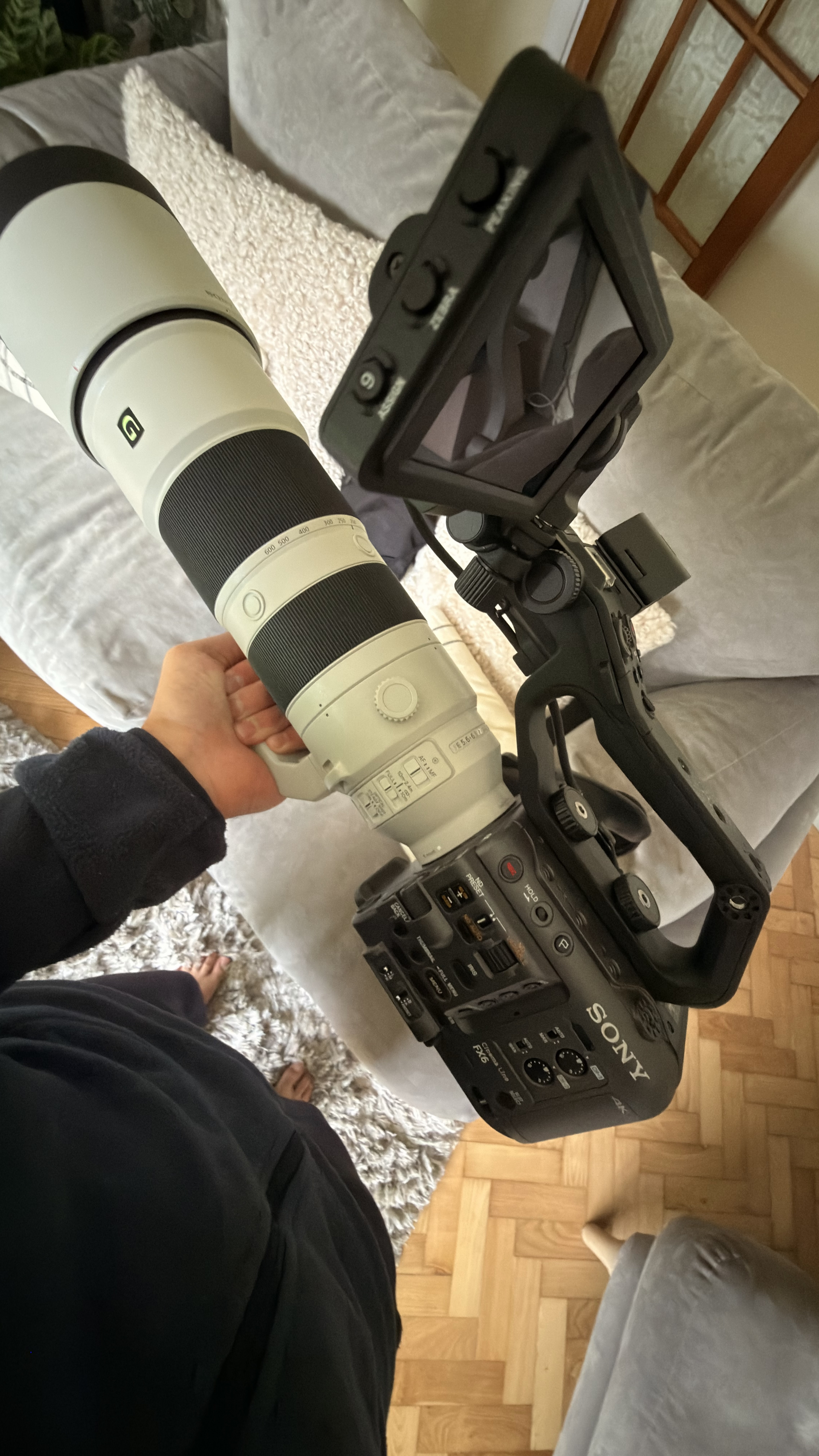 Sony fe 200-600mm f/5.6-6.3 g oss