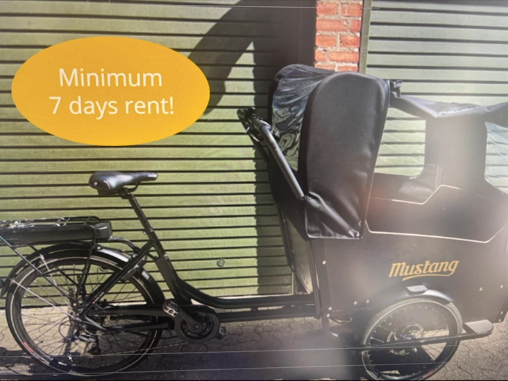 E-cargo electric cargo ladcykel