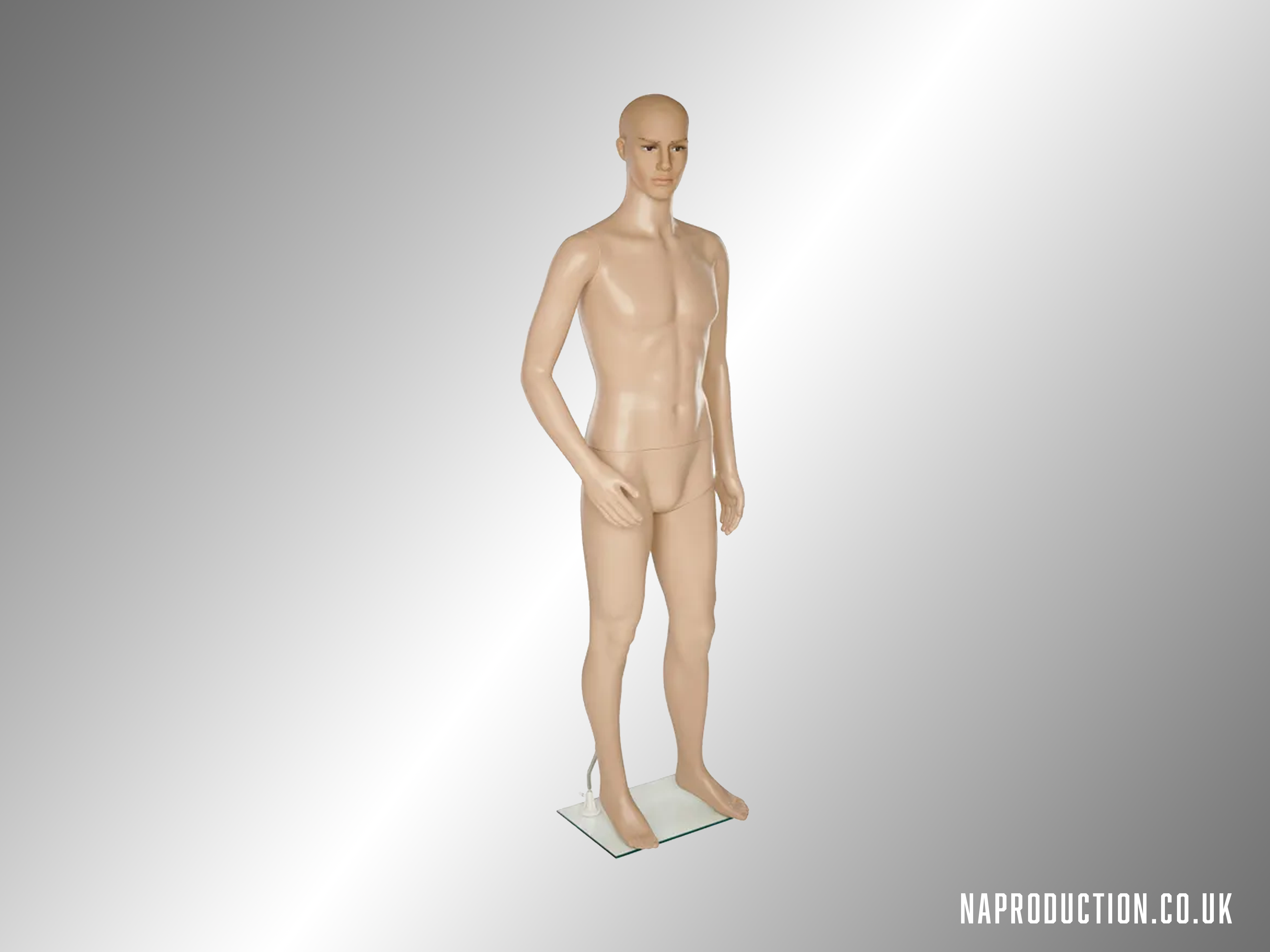 Full-size male mannequin model