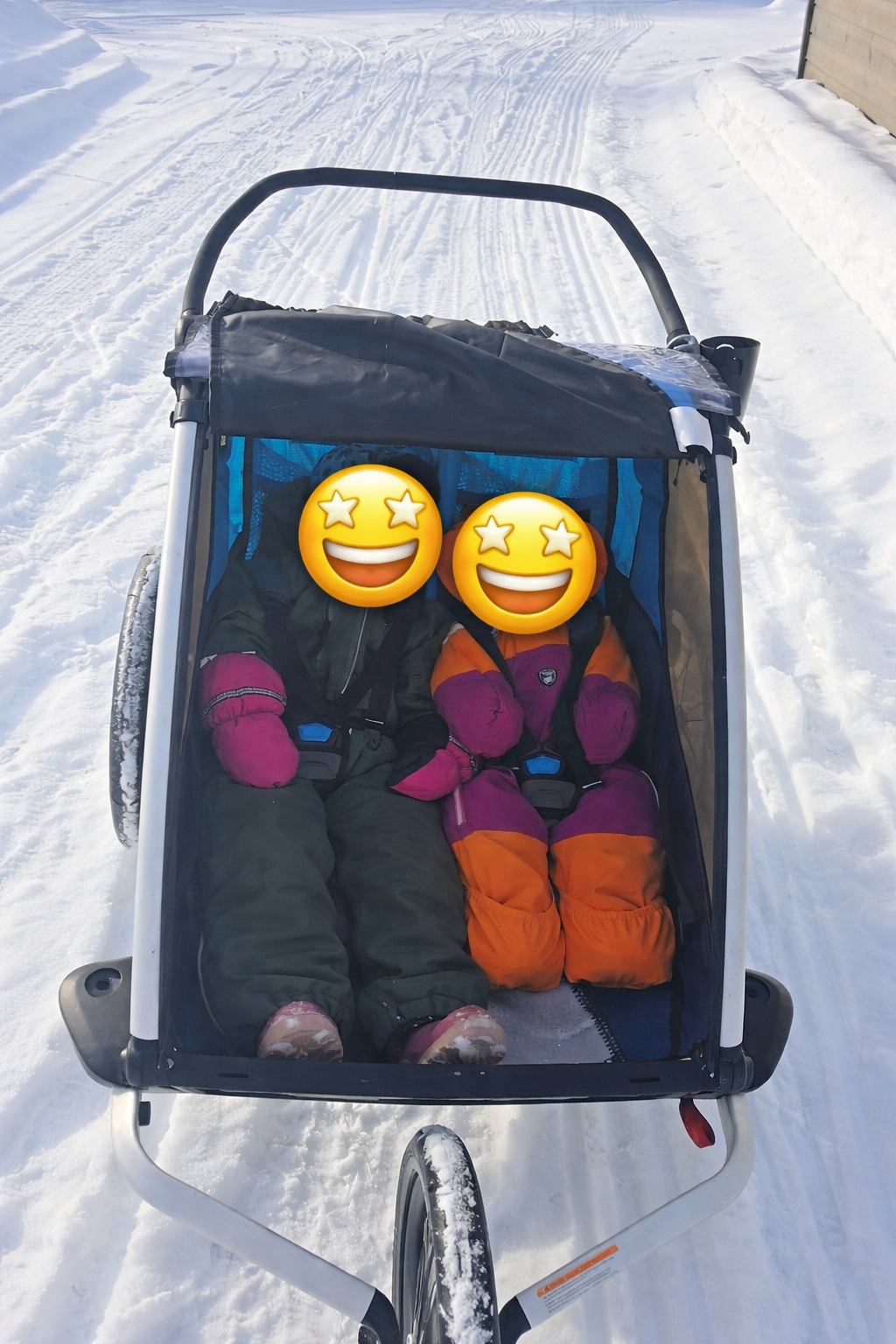 Thule chariot cross 2