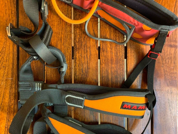 Fin klatresele fra mammut til voksne