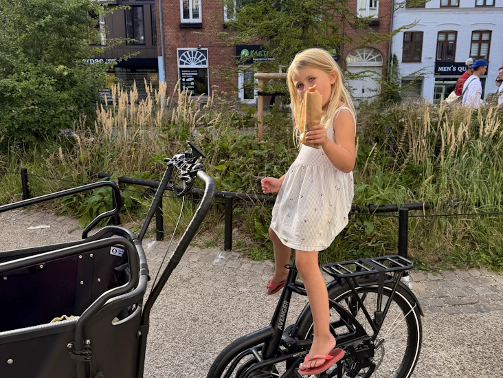 El ladcykel - vogue avenger fra august 2026