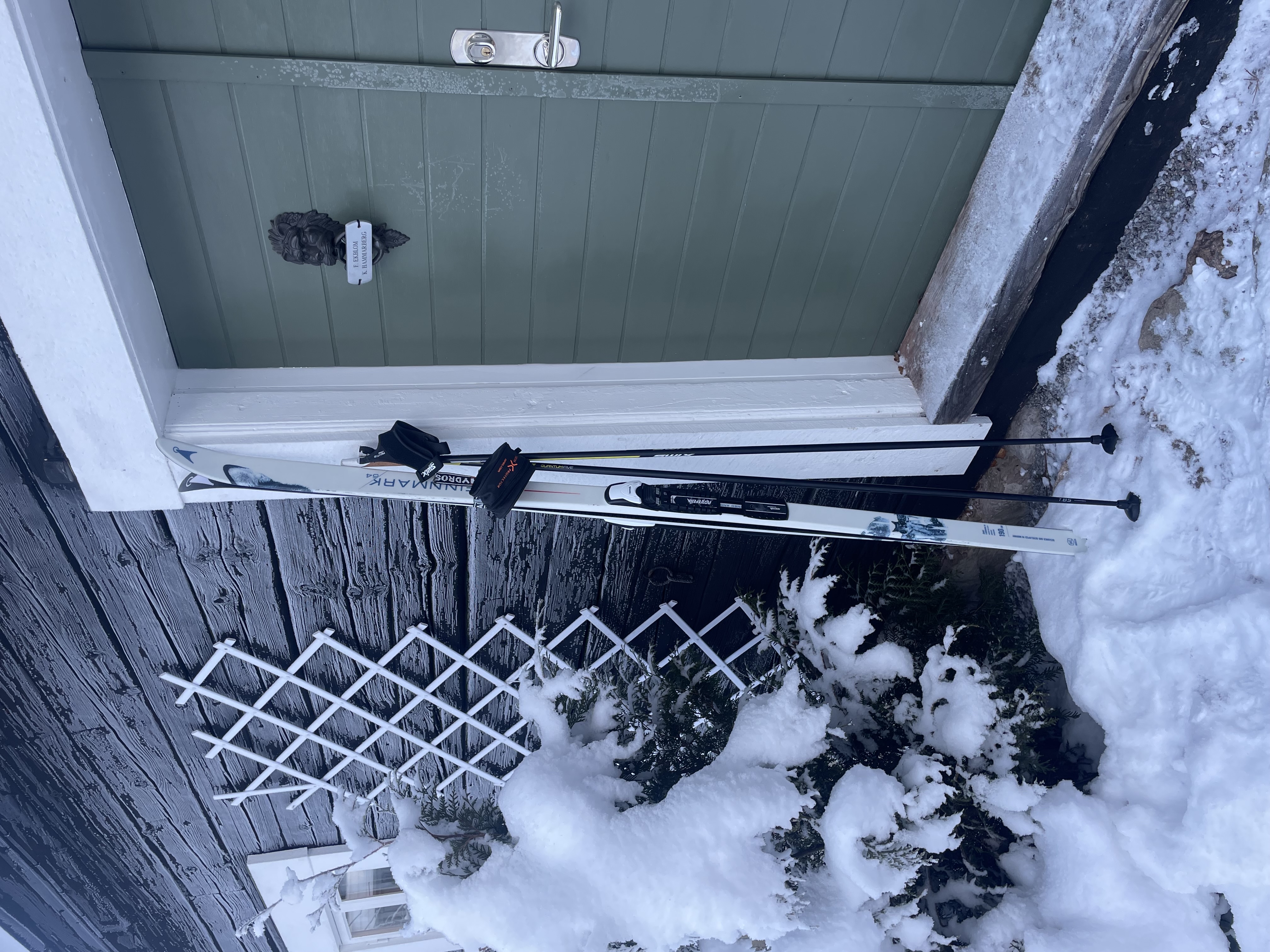 Turskidor åsnes utan stålkant + stavar