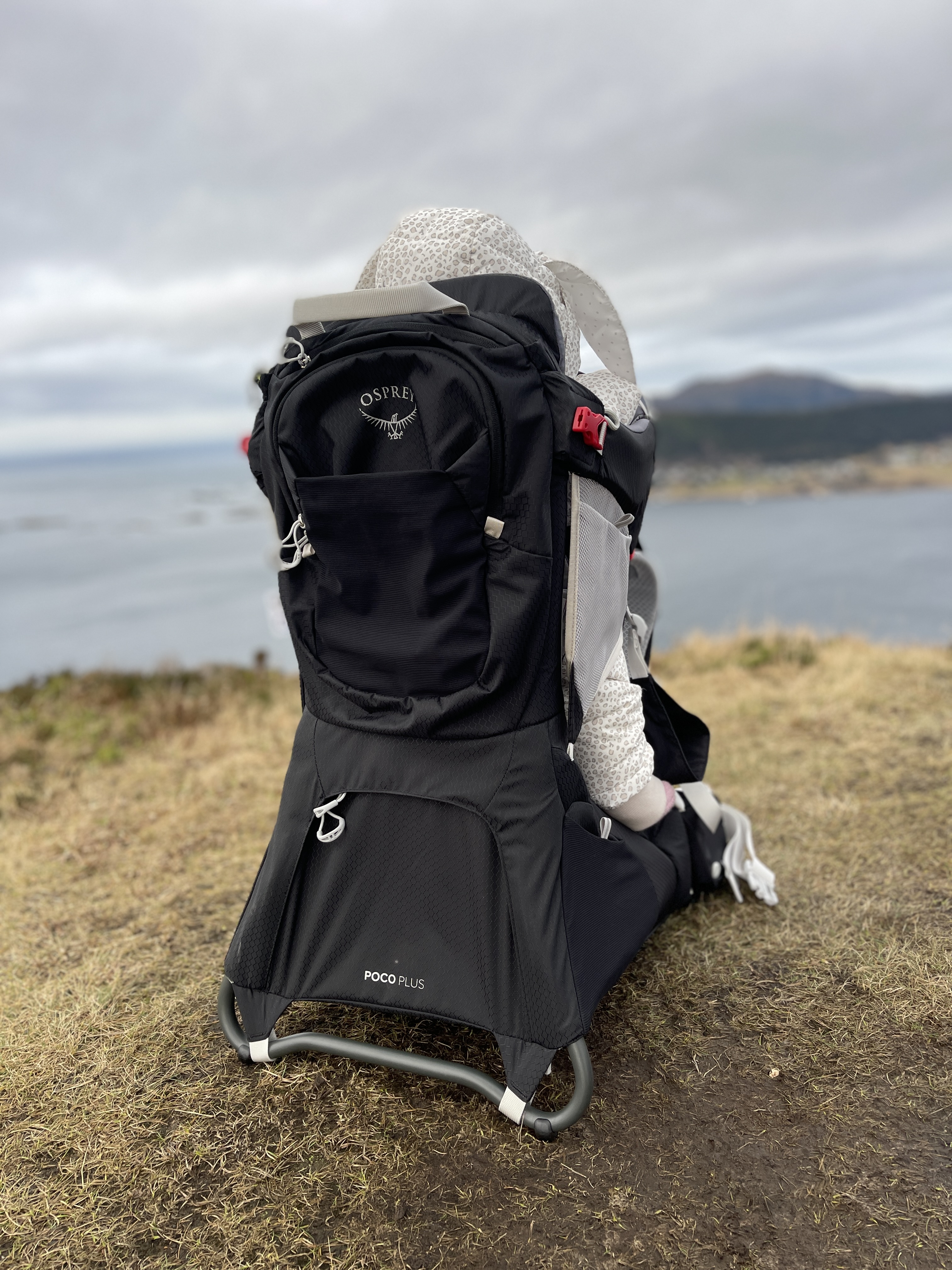 🎒 osprey poco plus bæremeis – leies ut i fosnavåg