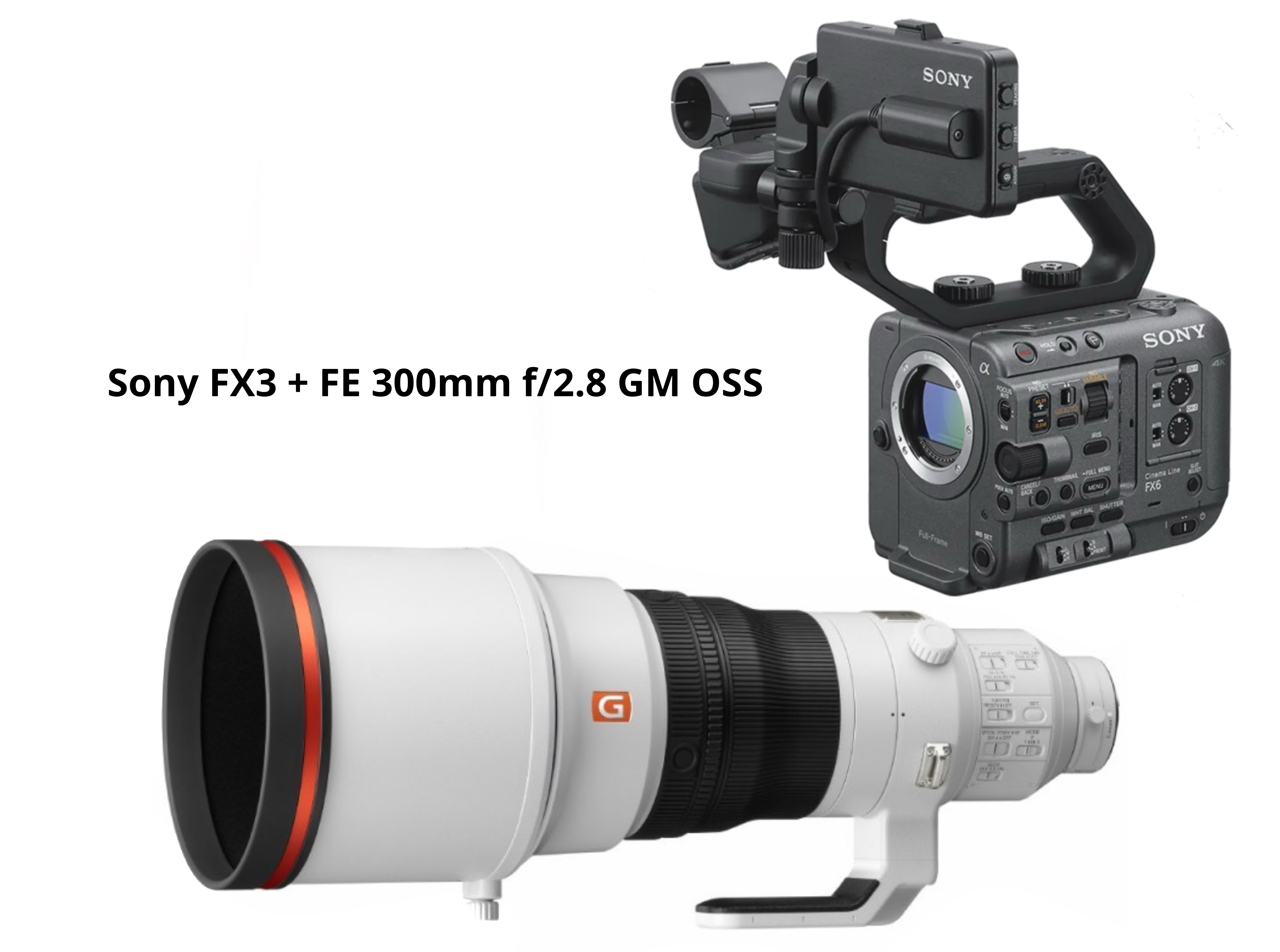 Sony fx6 + 300mm f2.8 / sony fx6 + fe 300mm f2.8 