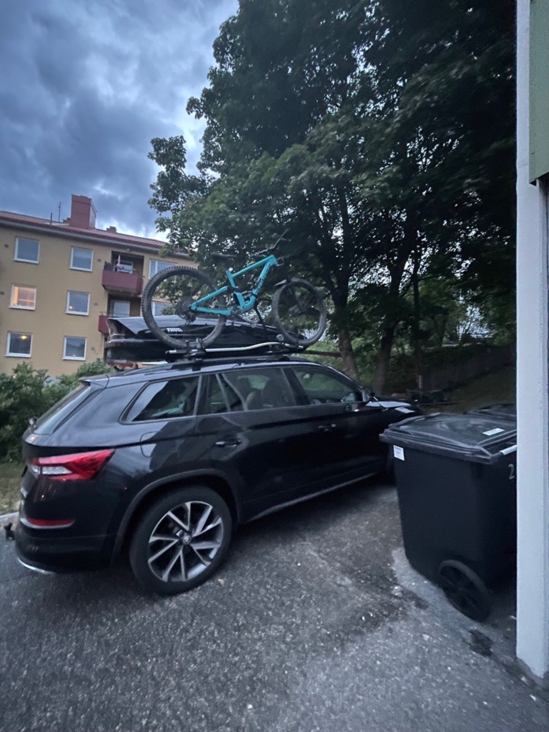 Thule bike carrier pro ride
