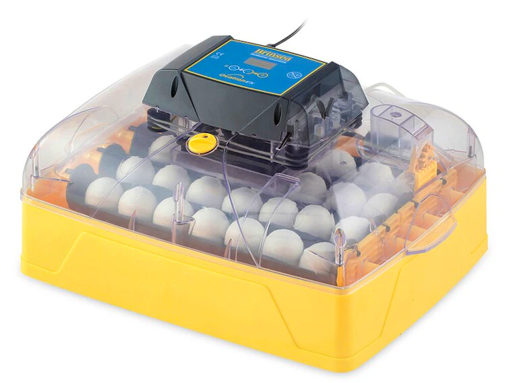 Brinsea 28 ovation ex kläckmaskin