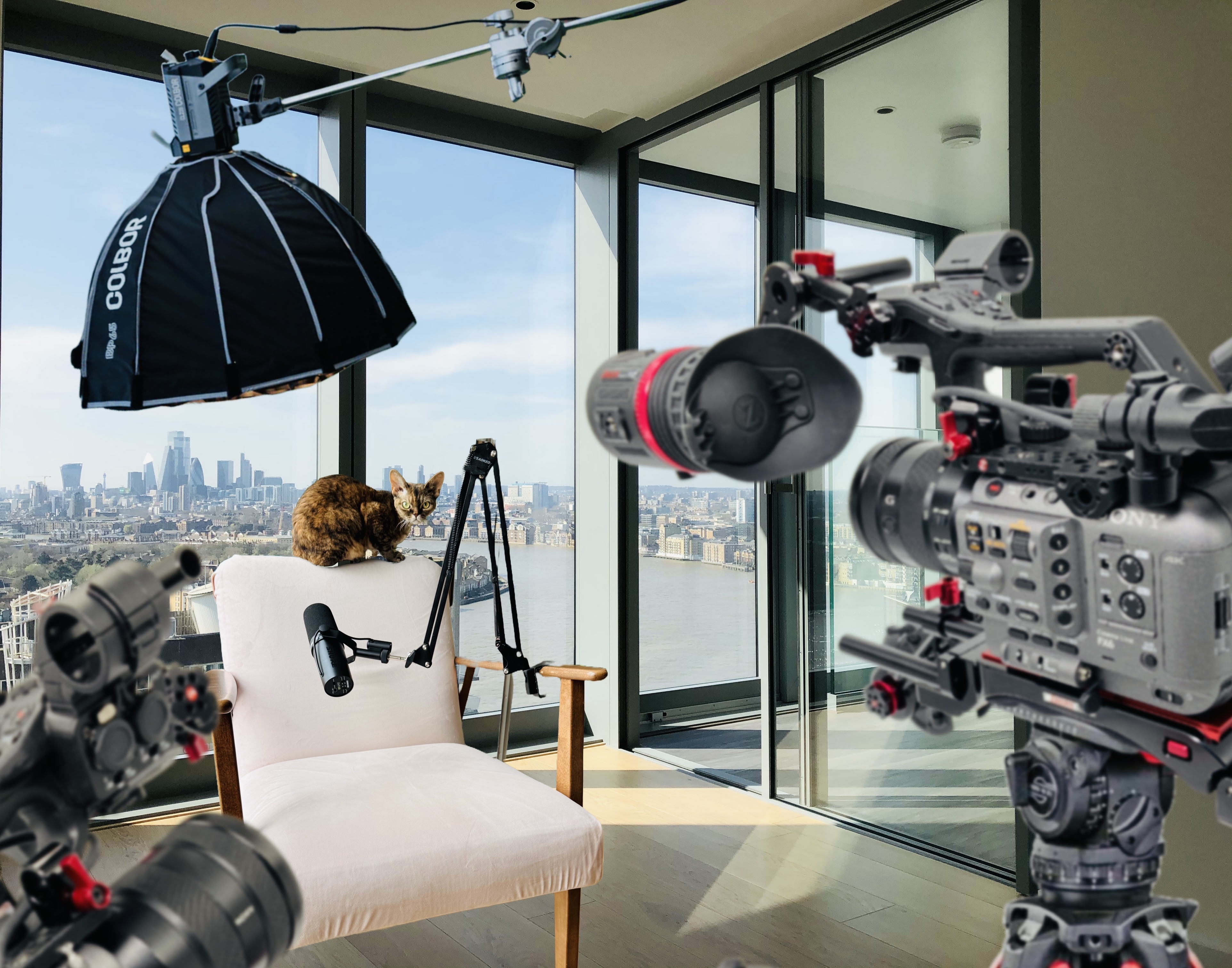 Interview talking head video filming services 