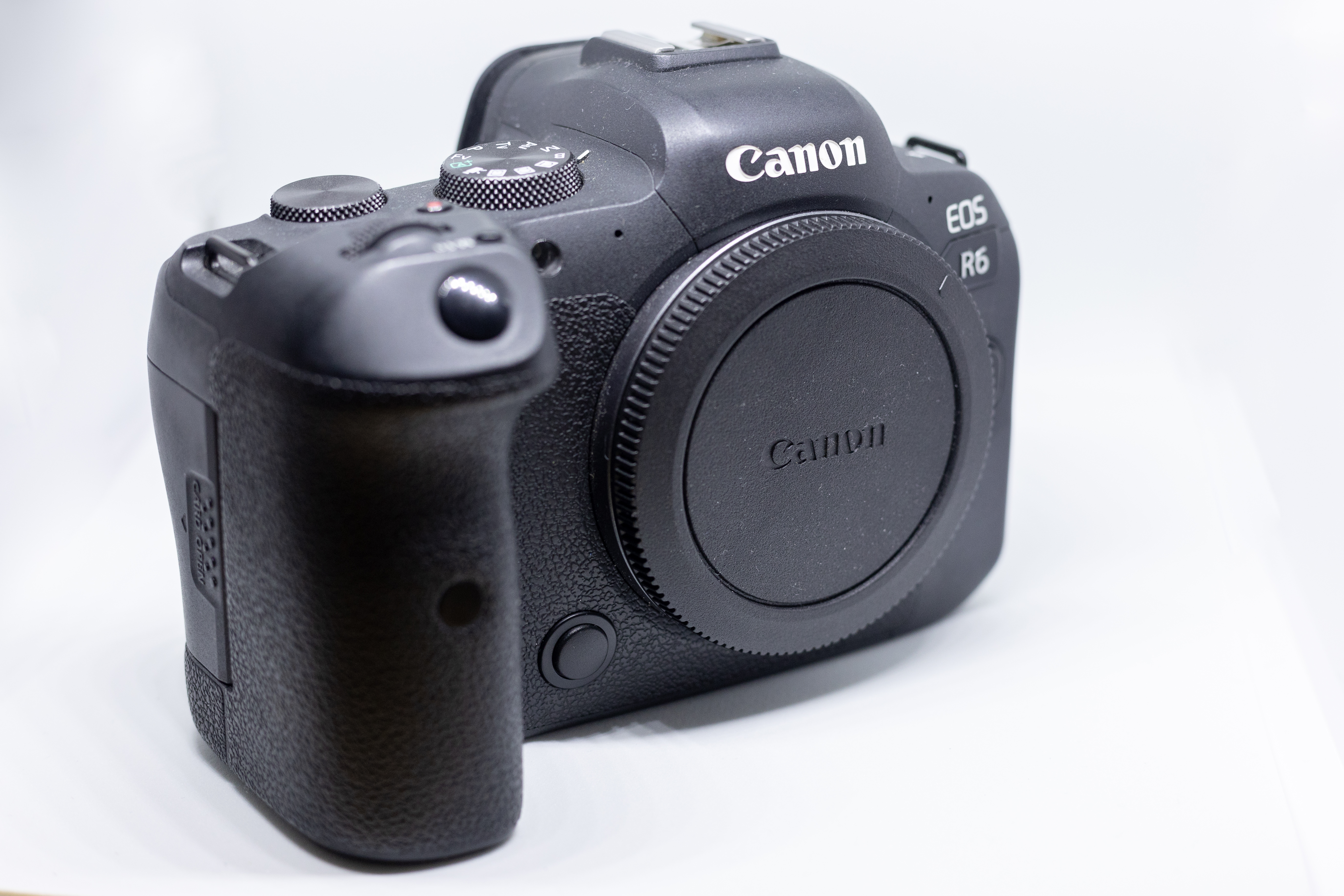 Canon eos r6 with rf to ef adapter