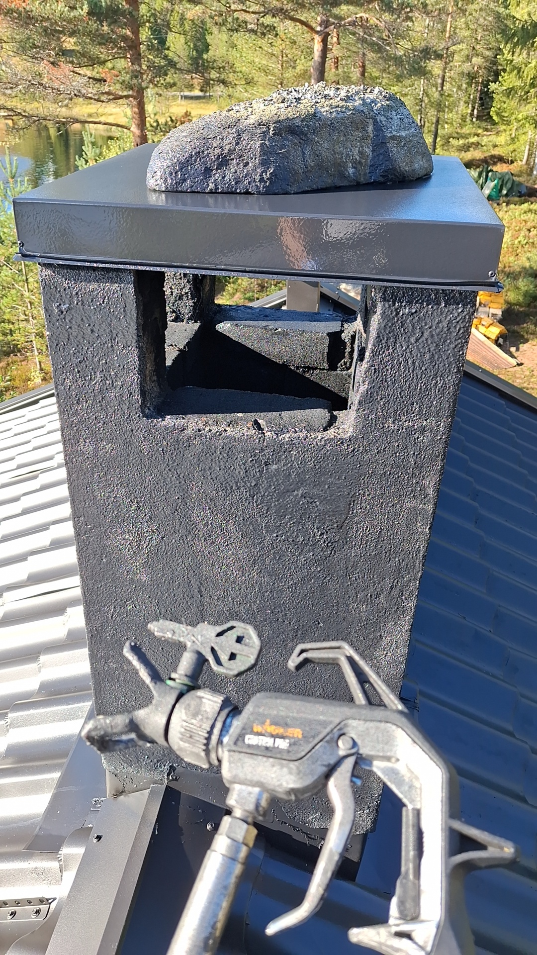 Wagner control pro 350 r malingssprøyte
