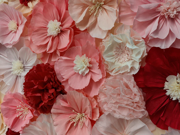 Kuvausseinä/kuvaustausta