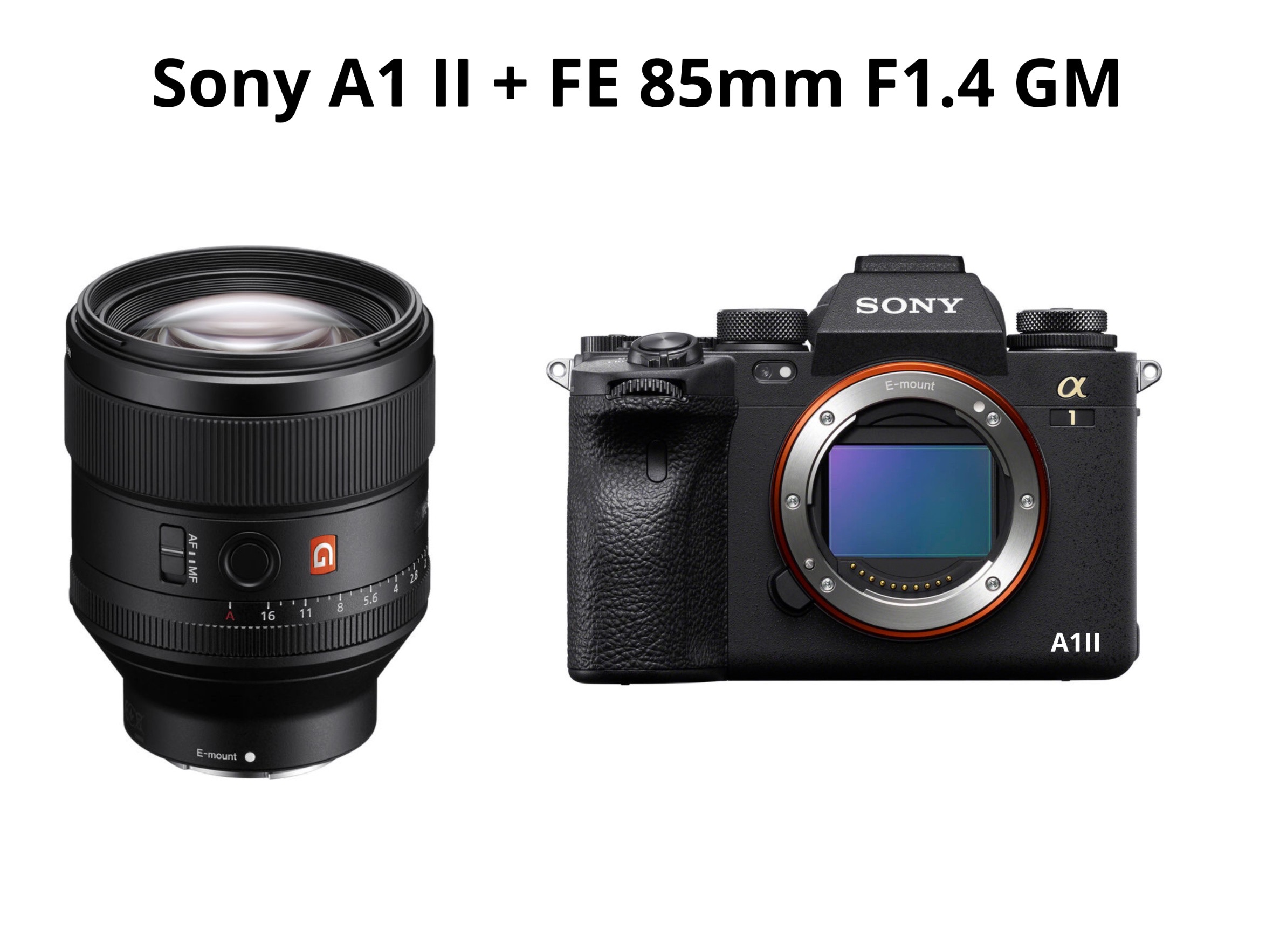 Sony a1 ii + fe 85mm f1.4 gm