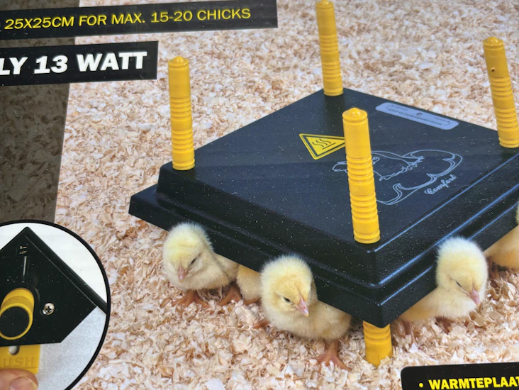 Rugemaskin og kyllingmor