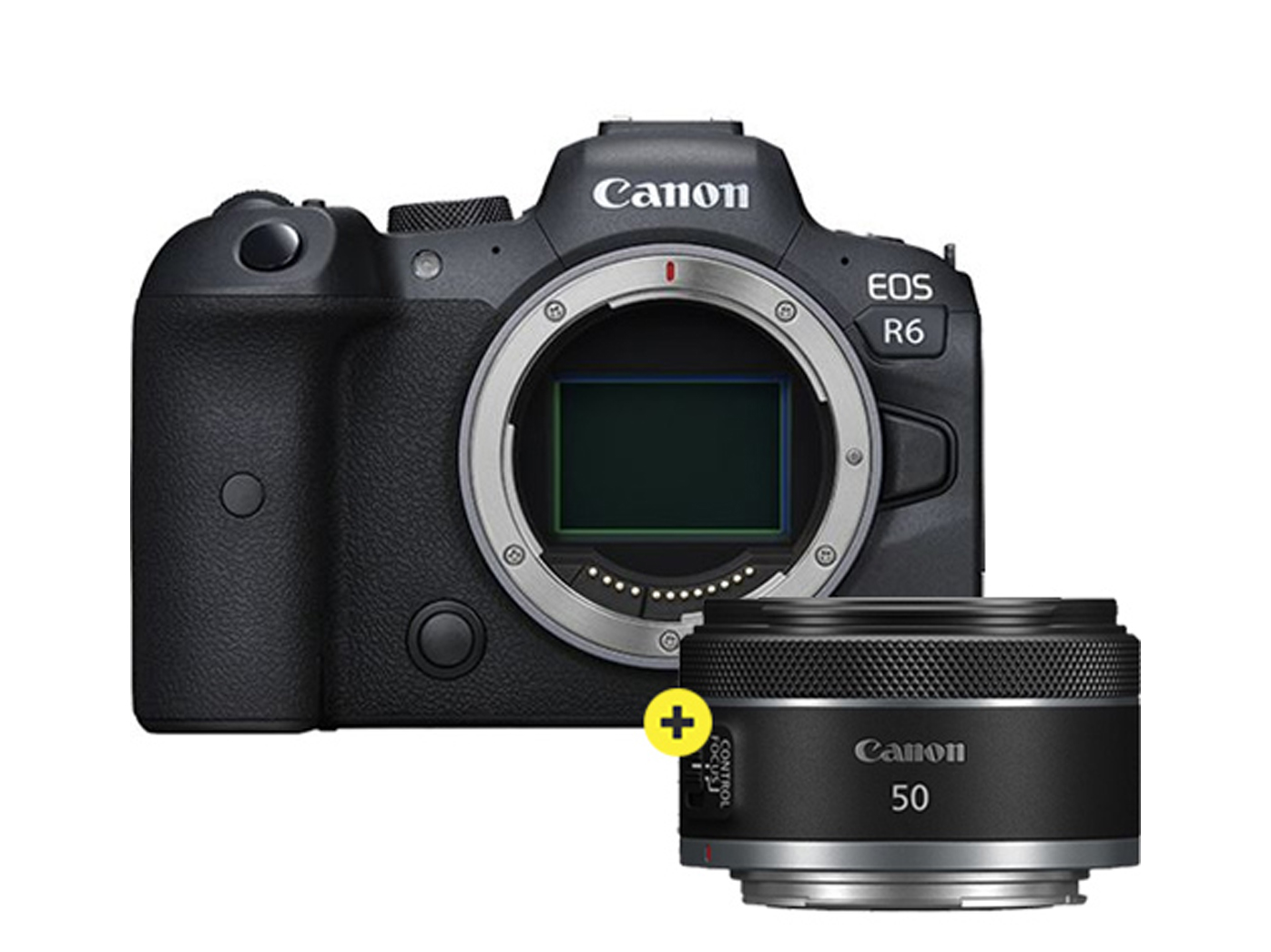 Canon r6 mirrorless pro camera + rf 50mm f1.8