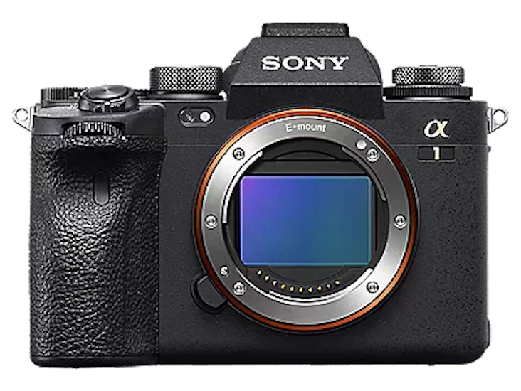 Sony a1