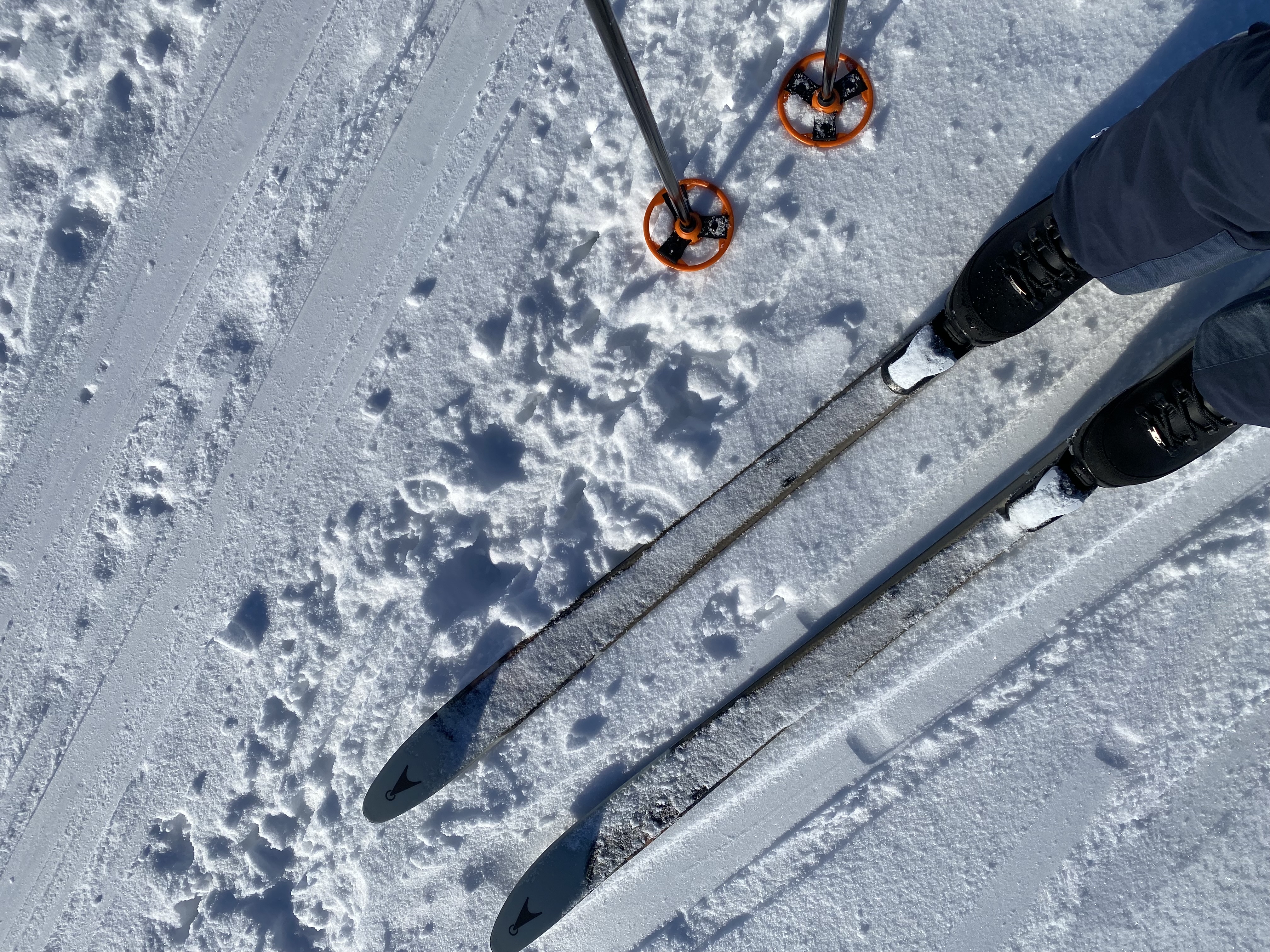 Åsne fjellski line sverdrup 180