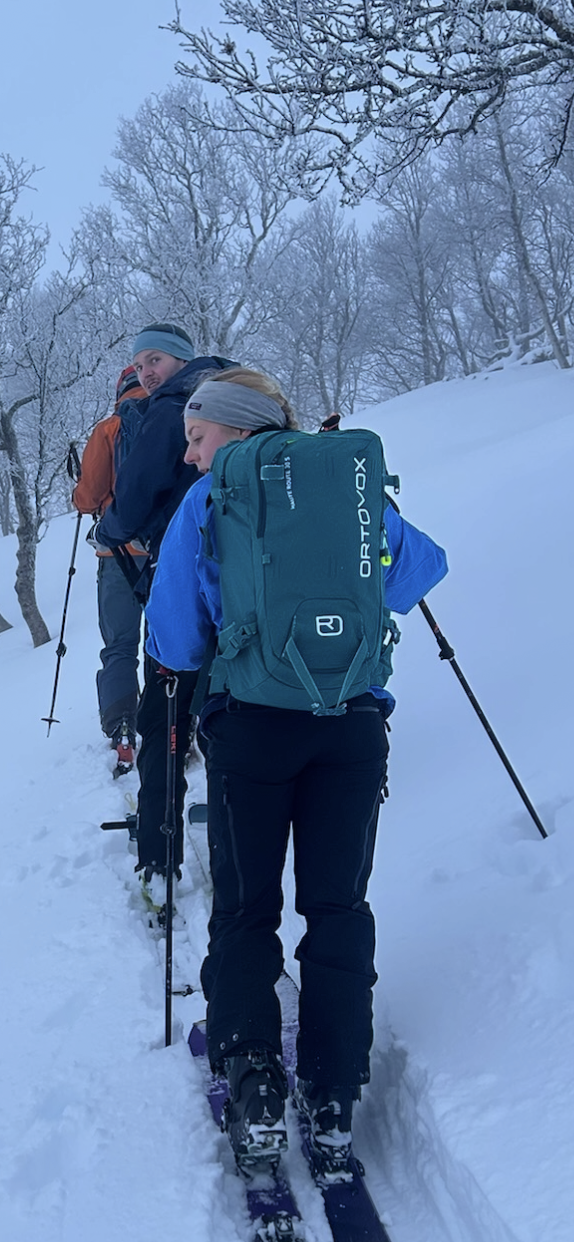 Ortovox haute route 32l