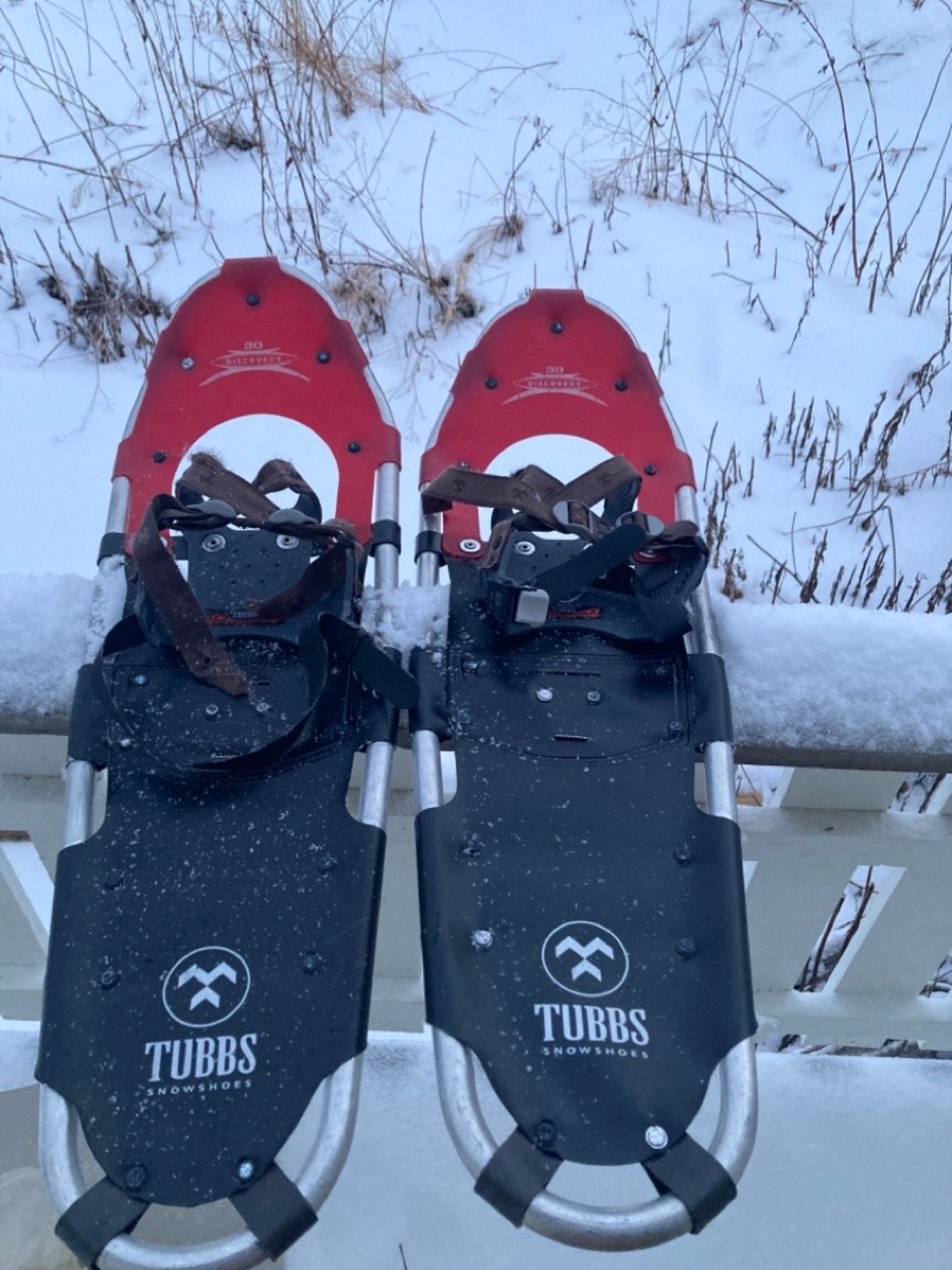 Snowshoes- truger