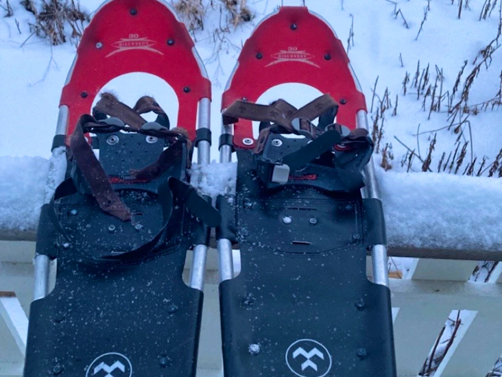 Snowshoes- truger