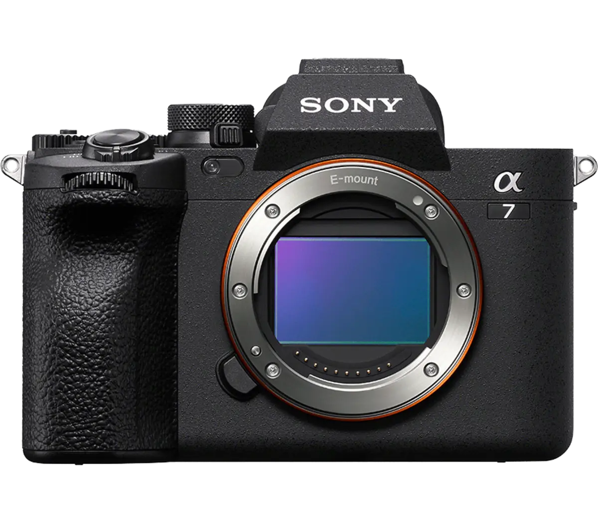 Sony a7iv, 24 - 70 2.8 v2 & 50 1.4