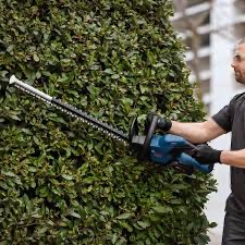 Bosch ghe 18v-60 professional sladdlös häcksax