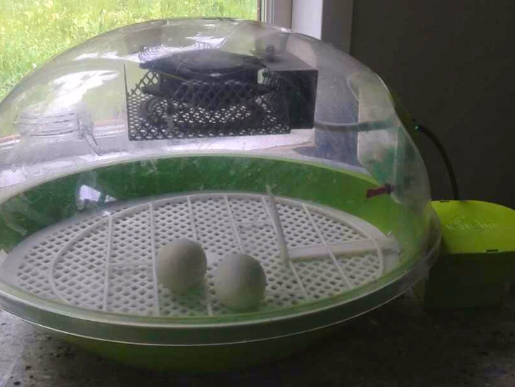 Äggkläckningsmaskin