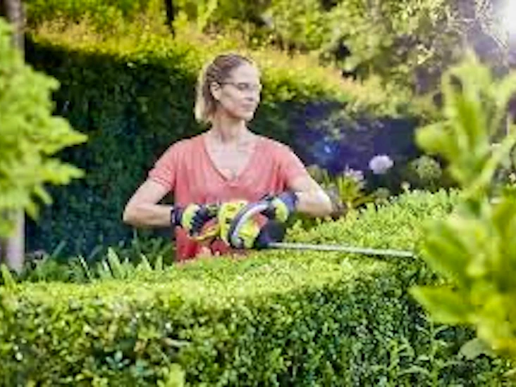 Batteridriven häcksax ryobi med batteri och ladd are