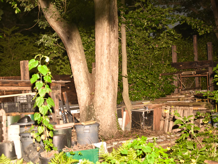 Nikon d3500 dslr camera