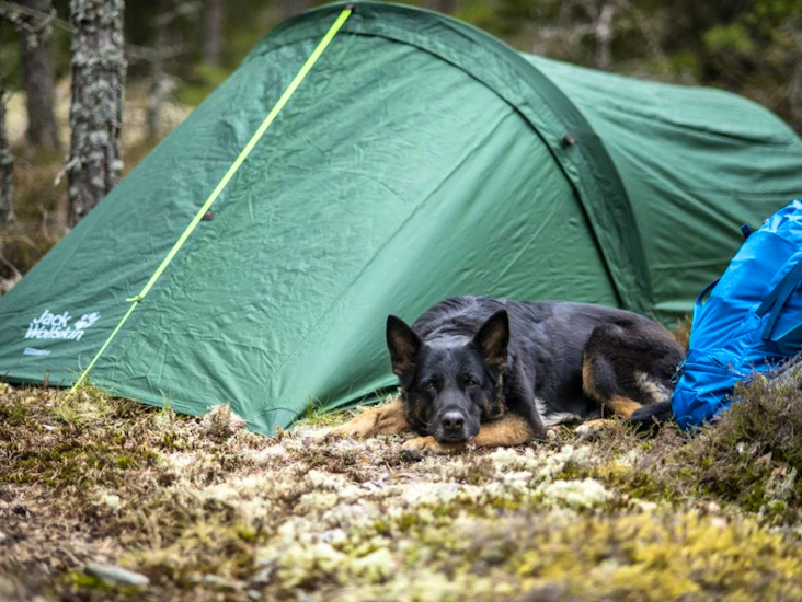 Gossamer ii - lätt tvåmannatält