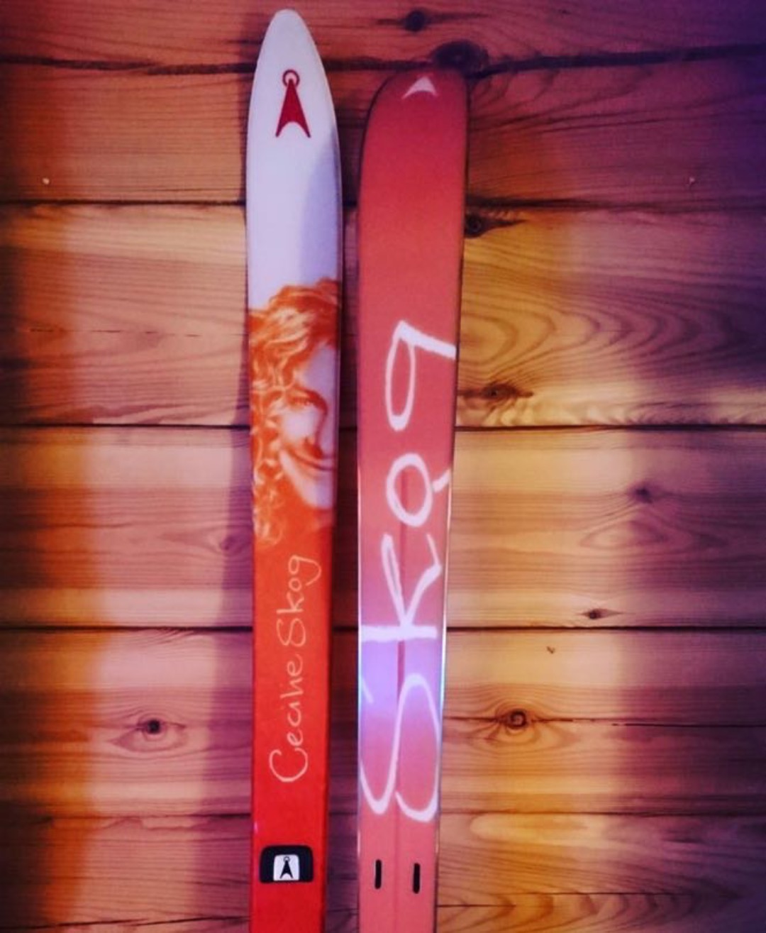 Fjellski - åsnes cecilie skog