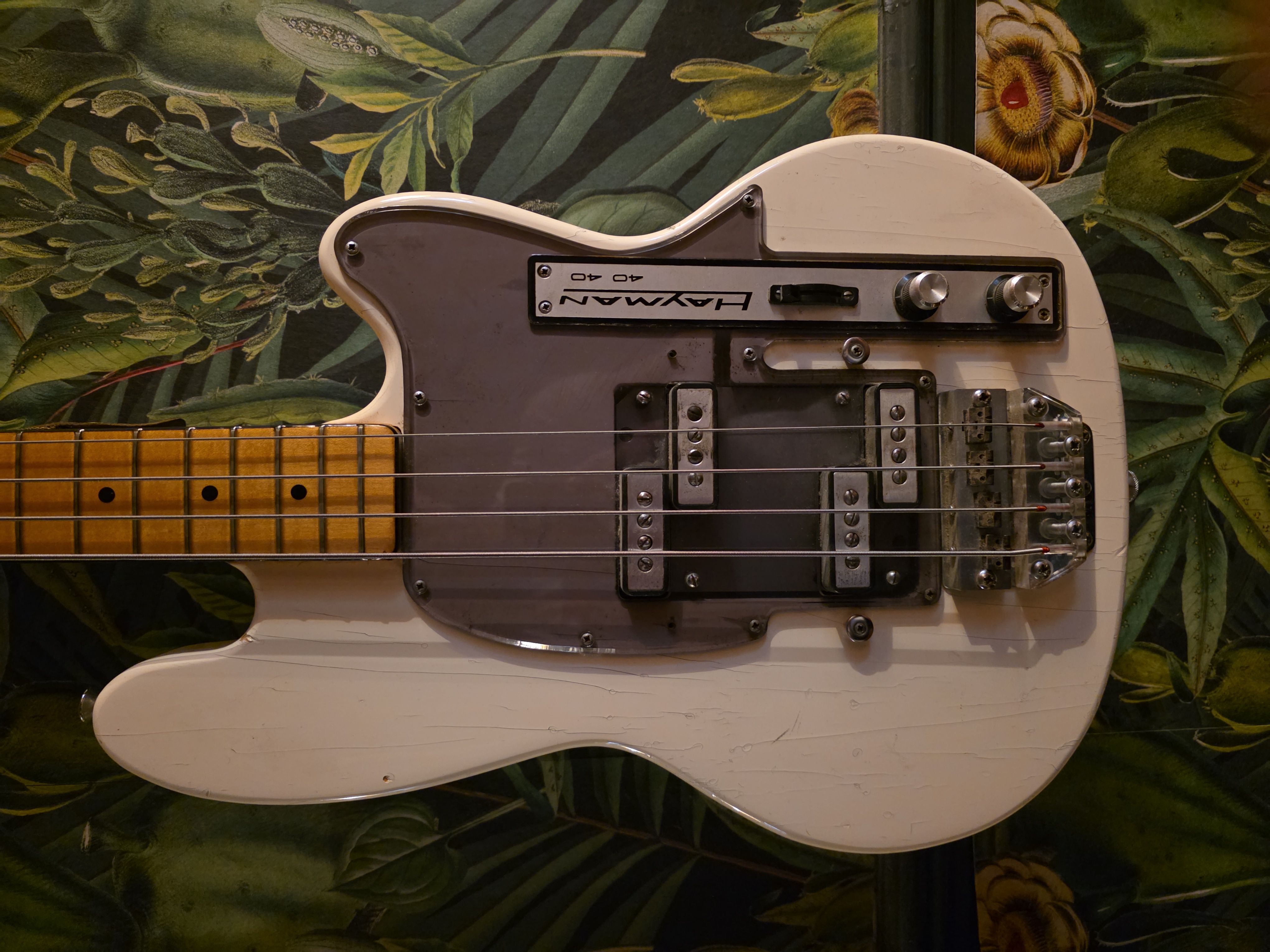 1970s hayman 4040 bass – vintage, rare