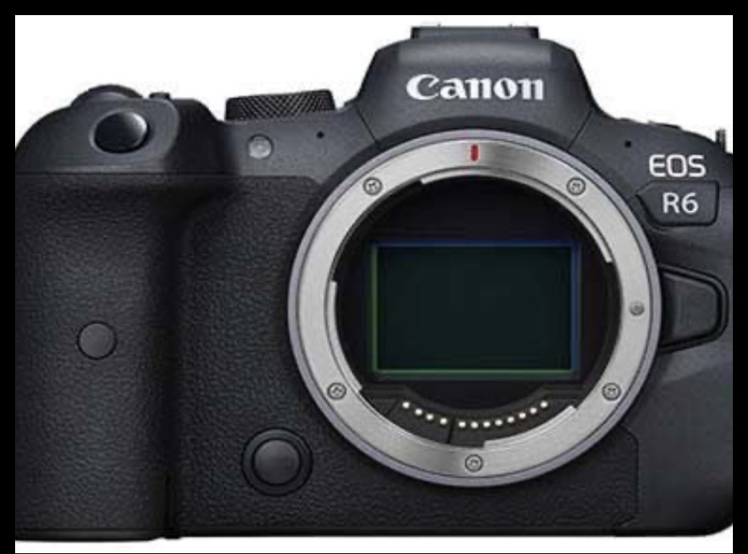 Canon r6 