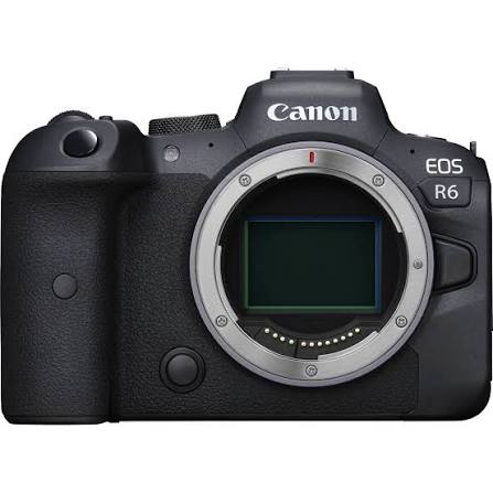 Canon r6 mk1 with ef adapter 
