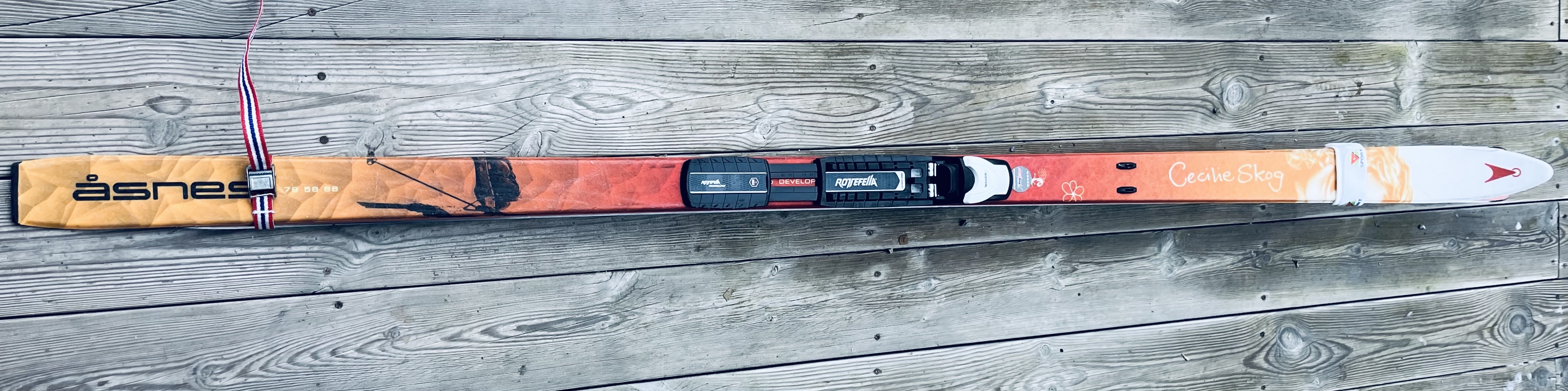  nye cecilie skog fjellski, 180