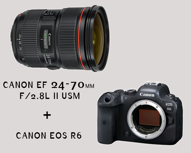 Canon eos r6 mirrorless digital camera with canon ef 24-70mm f/2.8l ii usm standard zoom lens 