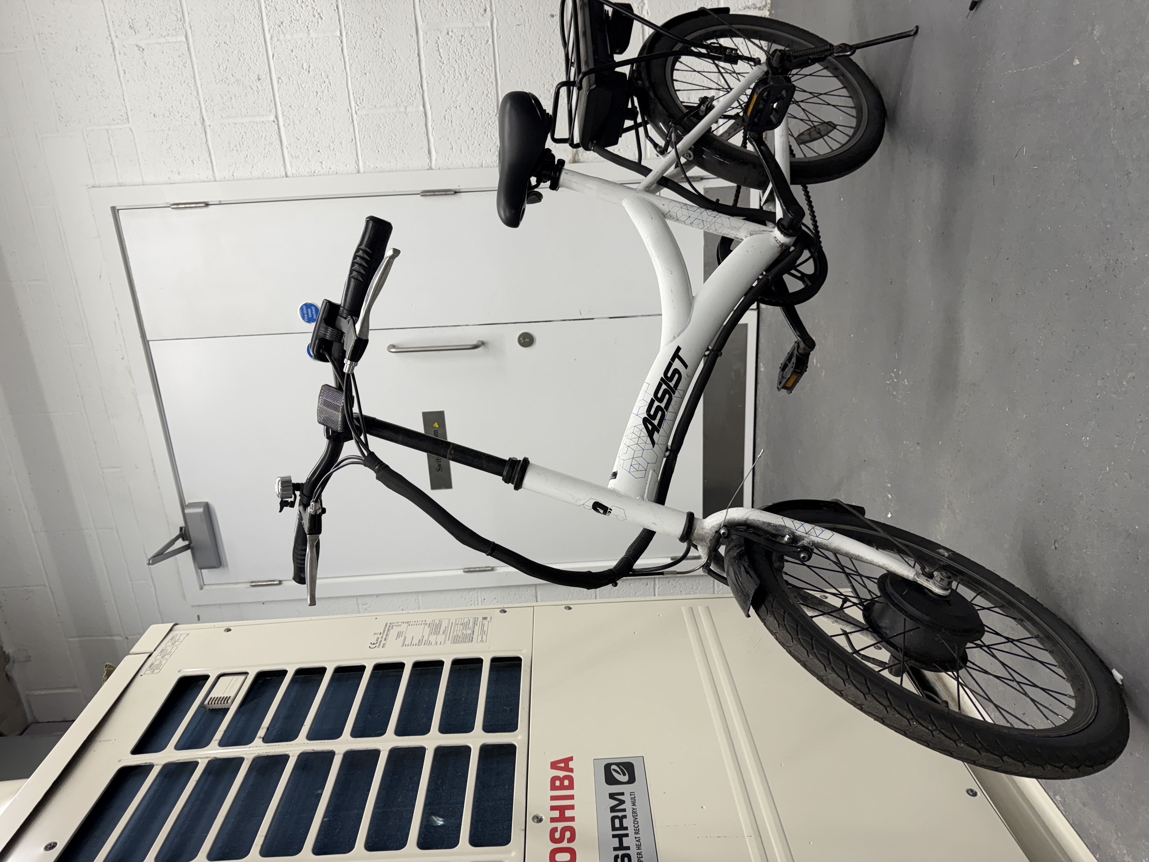 Electric bike assist