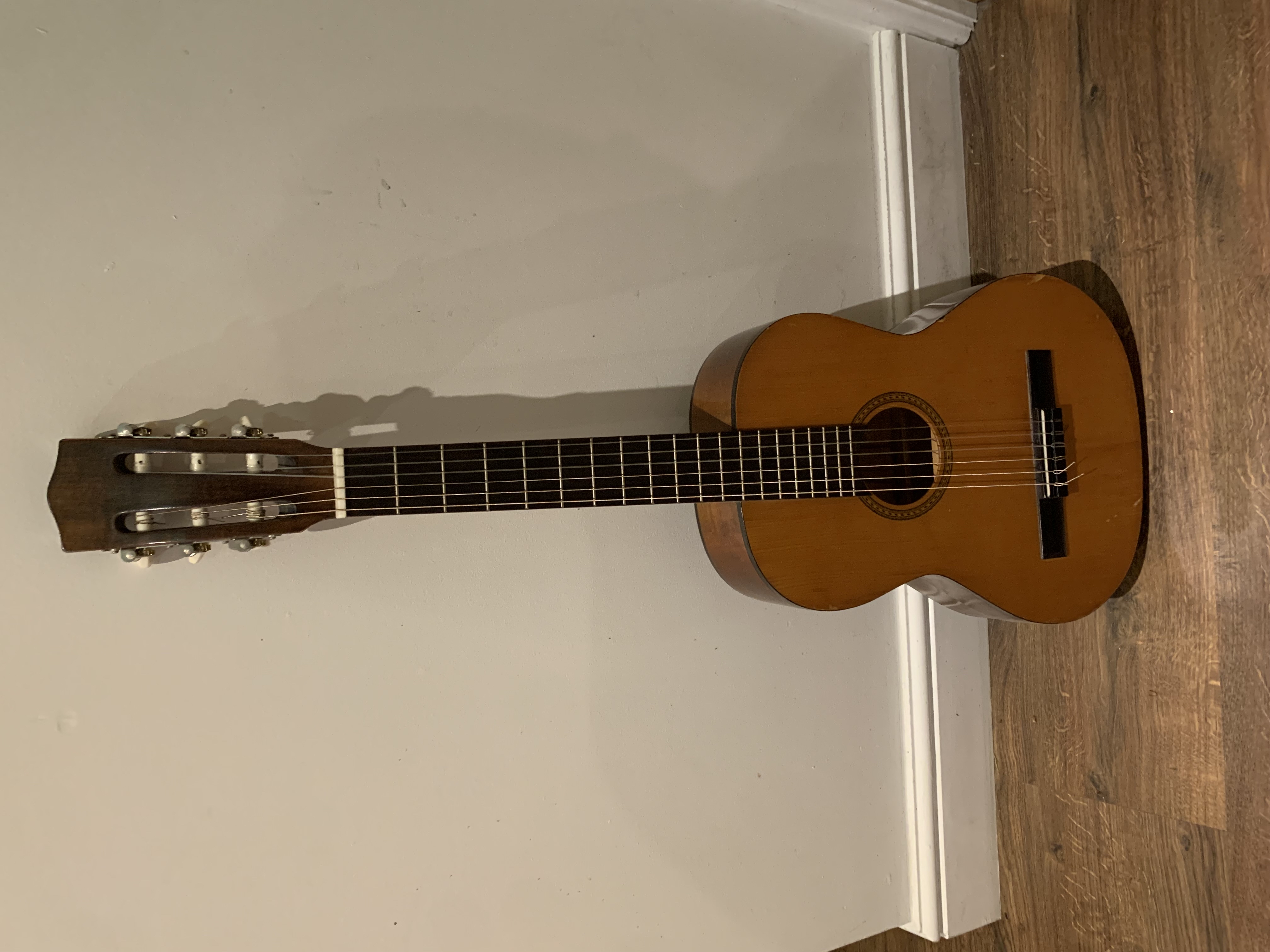 Acoustic guitar 