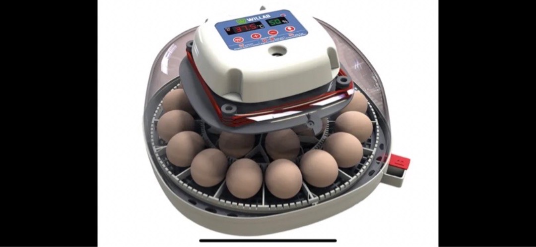 Willab 22 äggkläckningsmaskin 
