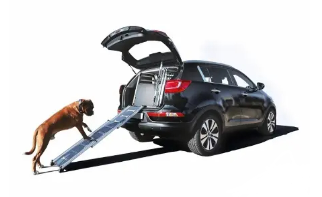 Rampe for hund