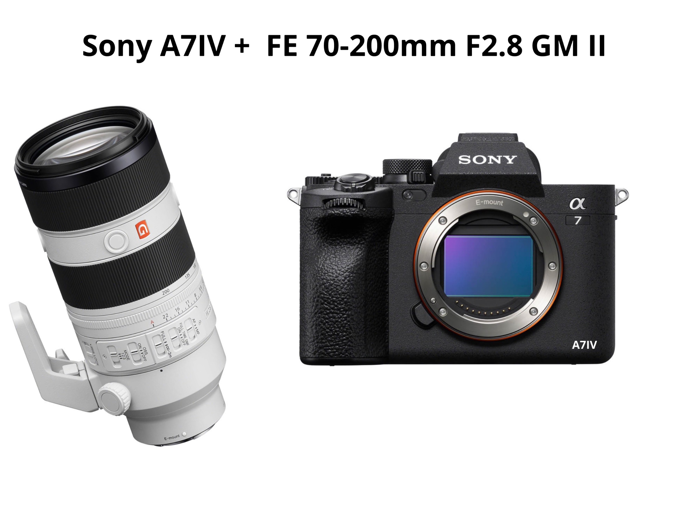 Sony a7iv + 70-200mm f2.8 gm ii  