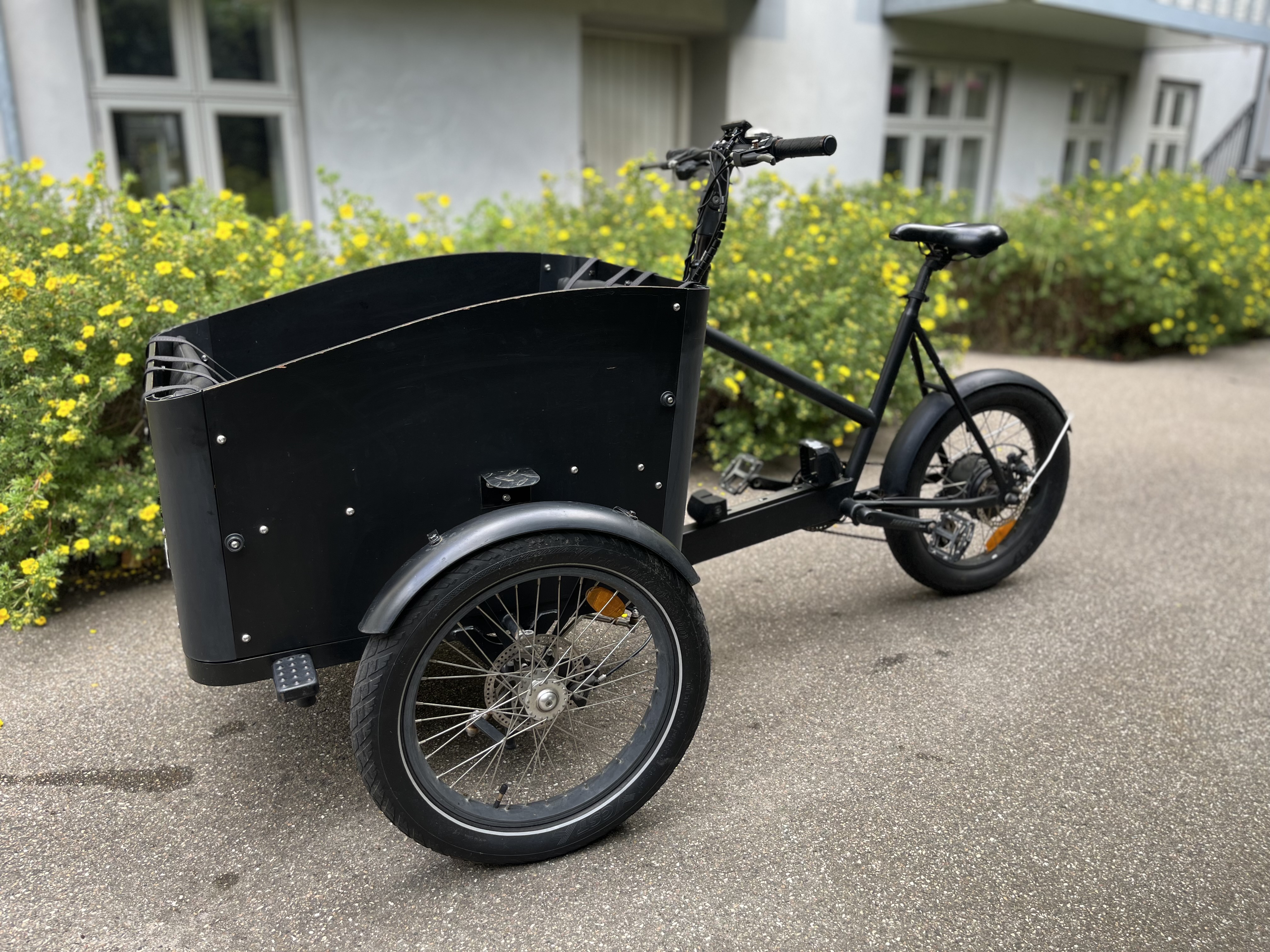 El cargo bike 