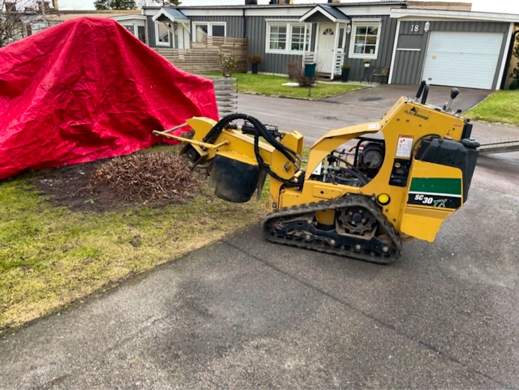 Professionell stubbfräs