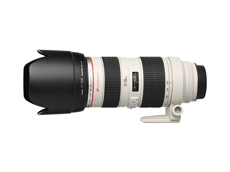 Canon ef 70-200mm f/2.8 ii 