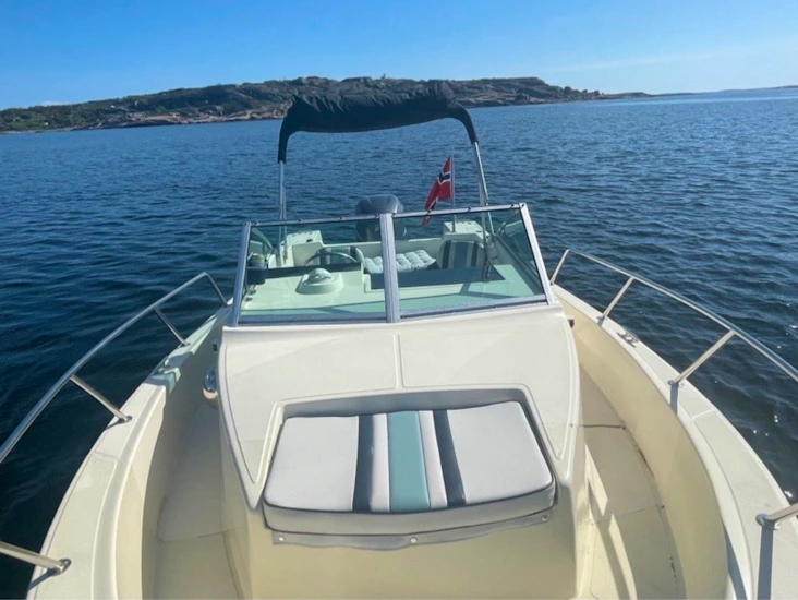 23 for white shark 250hk