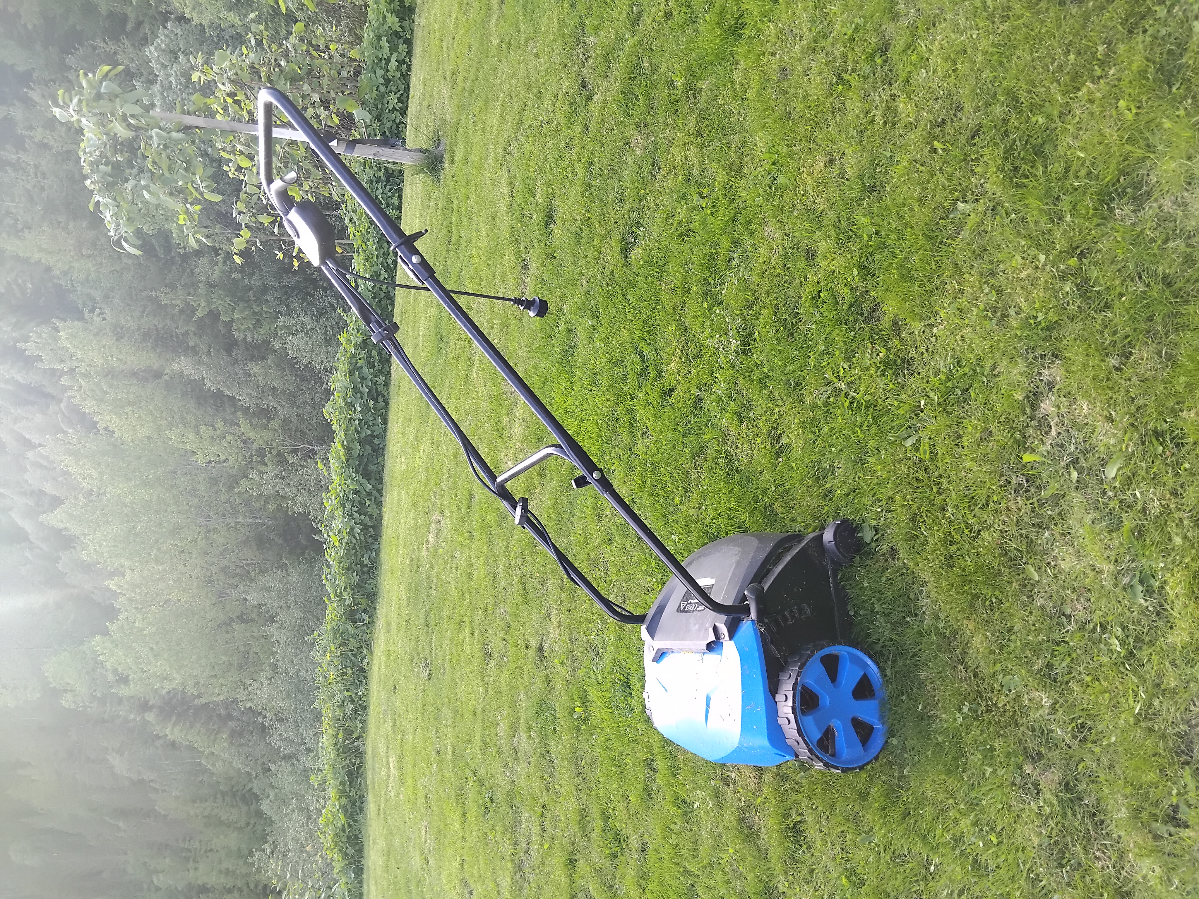Vertikalklipper/mosefjerner