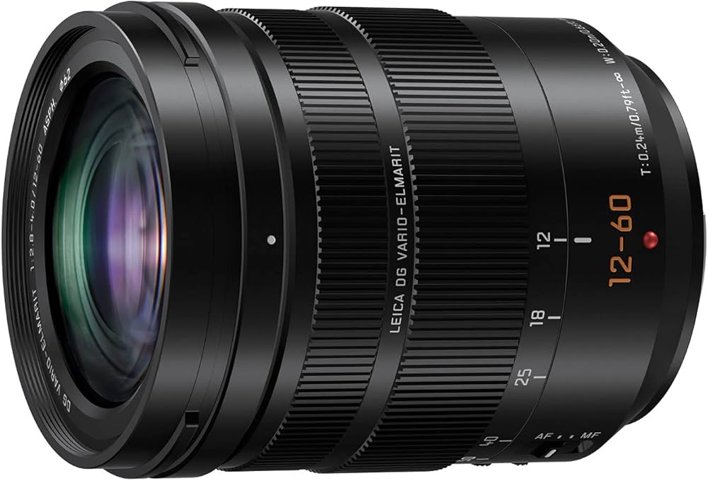 Panasonic leica 12-60mm f/2.8-4.0 zoom lens mft micro four thirds lumix  (more lenses available)